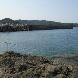 釣り日和、磯でアオリイカのヤエン釣り