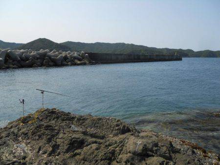 釣り日和、磯でアオリイカのヤエン釣り