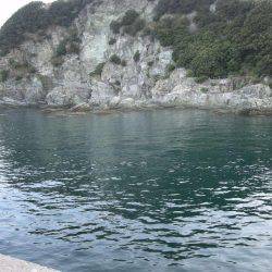 雑賀崎一文字でルアーフィッシング