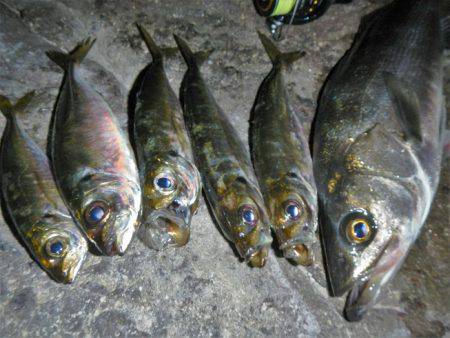 調子出てきました