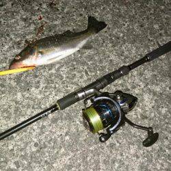 バチパターンラスト！