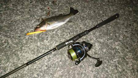 バチパターンラスト！