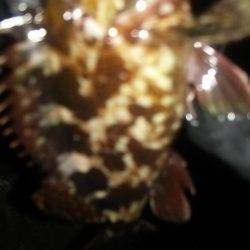 ライトゲーム!!