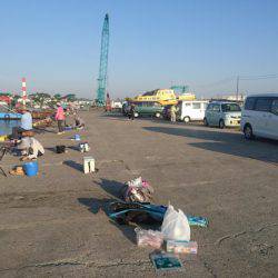 イワシの刺身が食べたくて
