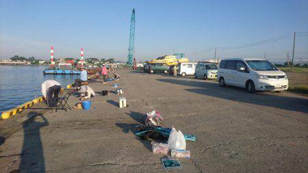 イワシの刺身が食べたくて