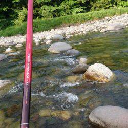 今年初の鮎釣り