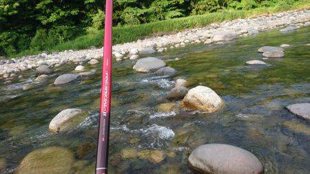 今年初の鮎釣り