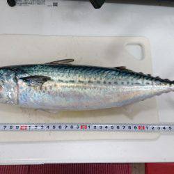 梅雨の晴れ間に