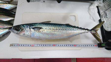 梅雨の晴れ間に