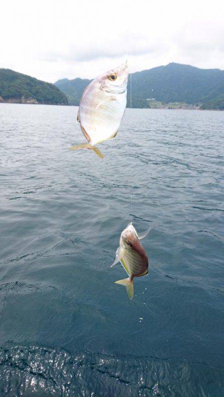 ウミック手漕ぎボート❕