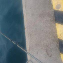 カマス釣りぱーと２