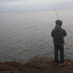 雨のなかフィッシュオン