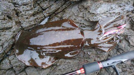 朝マズメエギング