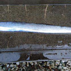 アタリを逃さず