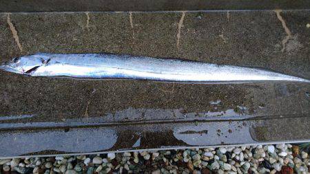 アタリを逃さず