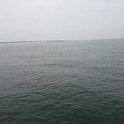 ツバス  ヒット !!