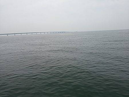 ツバス  ヒット !!