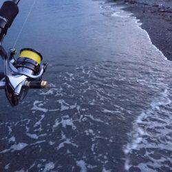 サーフでいつもの…