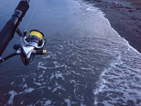 サーフでいつもの…