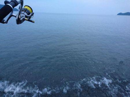 サーフエギング終盤