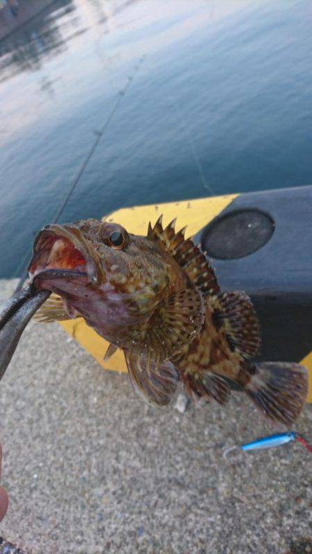 ライトショアジギ