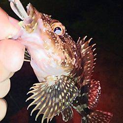 リアクションで辛うじて