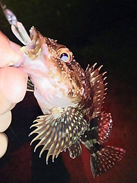 リアクションで辛うじて