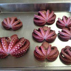 深夜からのタコ釣り