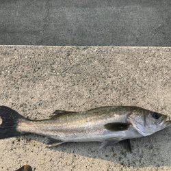 ショアジギング