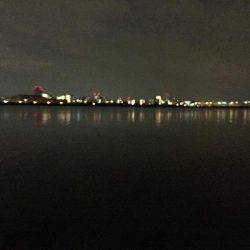 キビレ調査 NO,19