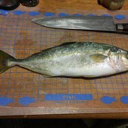 ツバス初ゲット