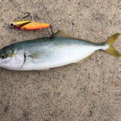 仕事帰りに寄り道♫