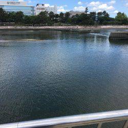 トップゲーム始動!!