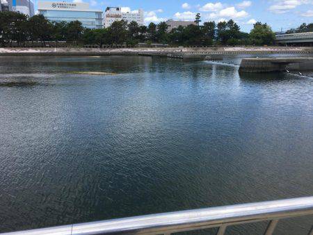 トップゲーム始動!!