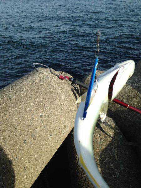 ライトショアジギング