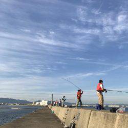 まだ釣れてます。