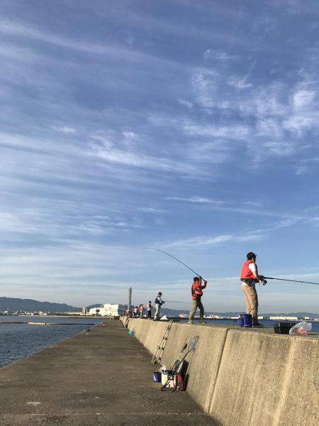 まだ釣れてます。