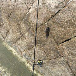 出張先での休日