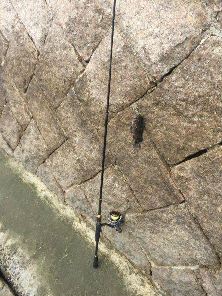 出張先での休日