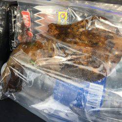 久通エギング！