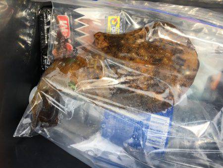 久通エギング！