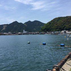 ちょい投げ釣り