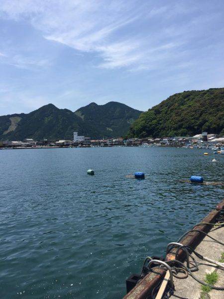 ちょい投げ釣り