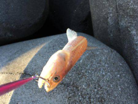 ランガンソルティング