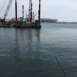 エビ撒き釣り！