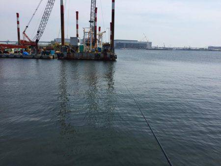 エビ撒き釣り！