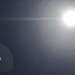 アオリ狙いが…