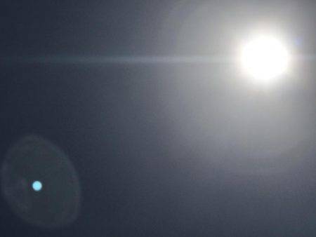 アオリ狙いが…