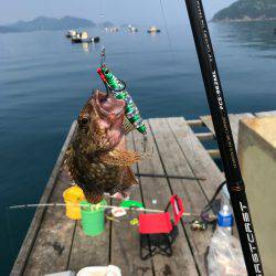 筏釣りでアジ・サゴシ