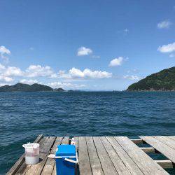 小浜の筏でアジ。ハマチ痛恨のバラシ